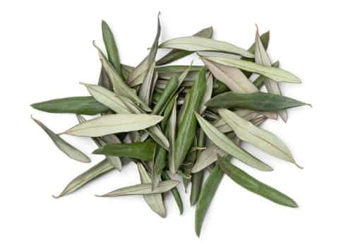 Feuilles d'Olives séchées