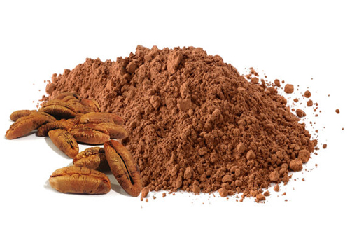 Noyaux de Dattes