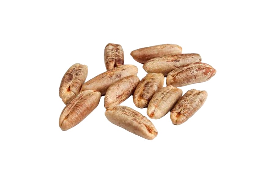 Noyaux de Dattes